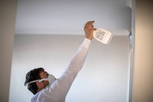 Attic Mold Removal in Providence, KY