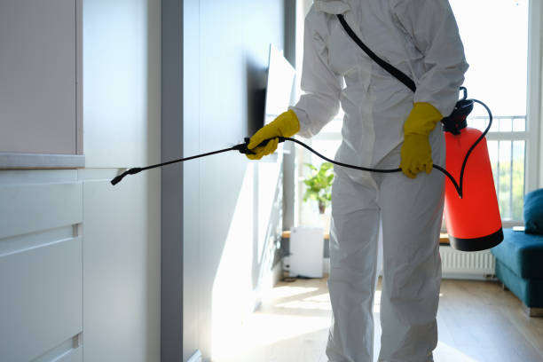 Certified Mold Removal in Providence, KY